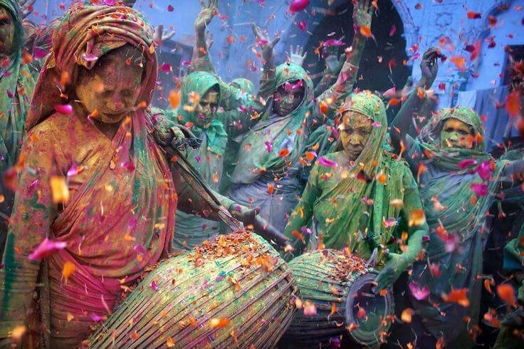 Nidhivan Holi  image