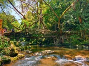 Mawlynnong, Meghalaya