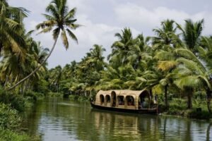 Kerala – God's Own Country. travel blog
