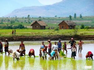 Ziro Valley, Arunachal Pradesh , Top hidden gems 